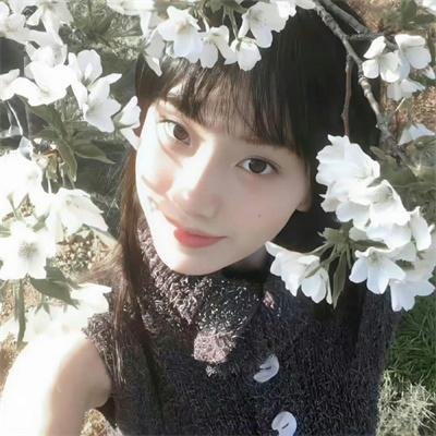 菊花香