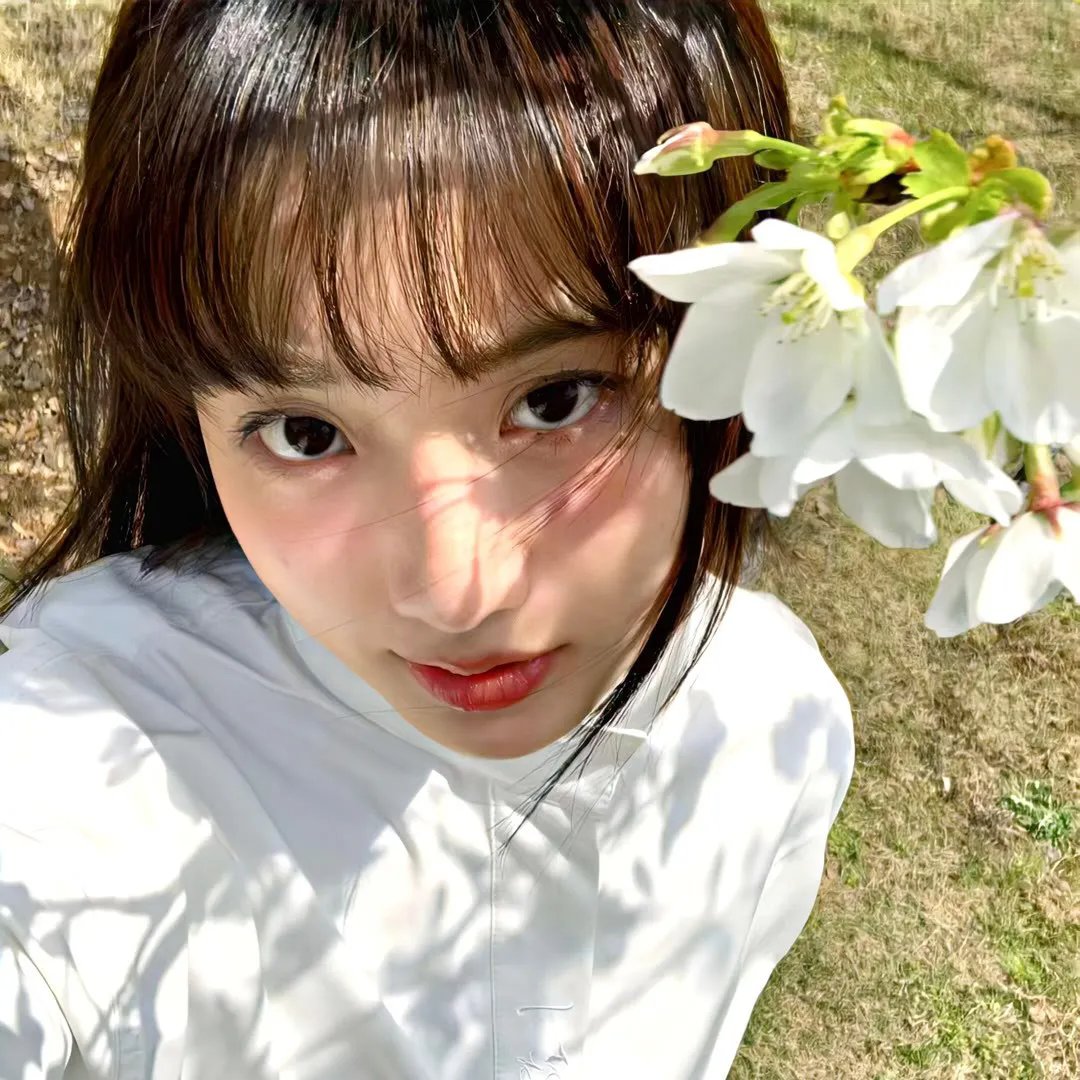 鹬